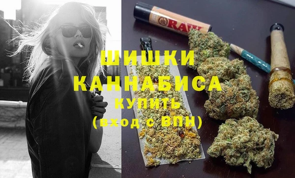 ешки Богданович