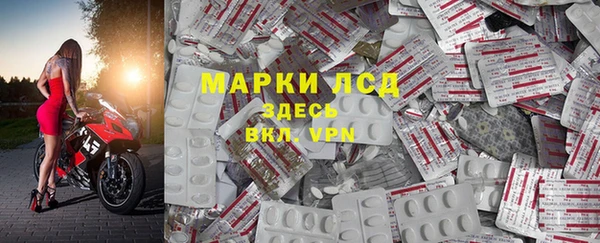 ешки Богданович