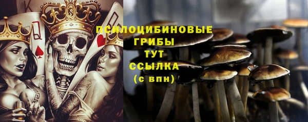 ешки Богданович