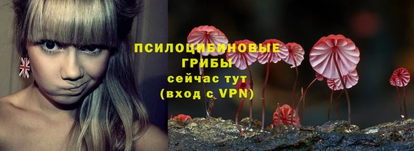 прущий лед Богородск
