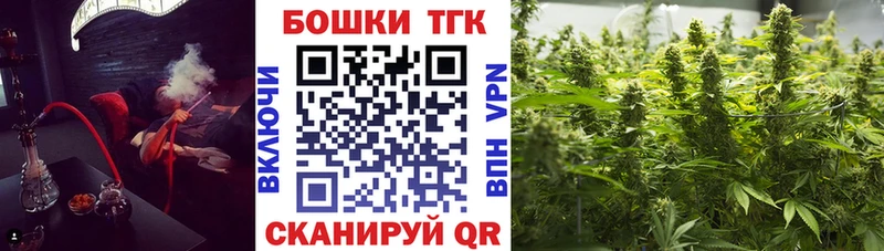 Бошки Шишки VHQ  Новозыбков 